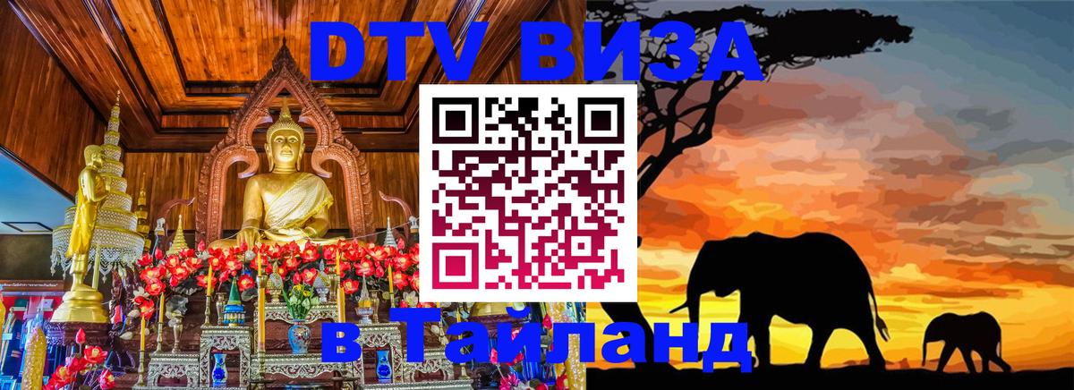 Оформление DTV визы под ключ: стоимость и тарифы, только загранпаспорт - 